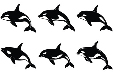 Obraz premium killer orca silhouettes, shark orca whale silhouette vector set