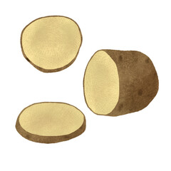 Potato tubers for cooking, handmade digital illustration on a white background