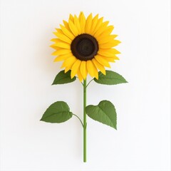 Fototapeta premium A vibrant sunflower with bright yellow petals and a dark center, symbolizing summer., on a white background