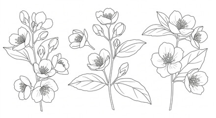 white flowers on a white background