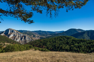 Peaking at the high mountain peak through the trees