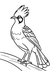 black and white animal coloring book Woodpecker