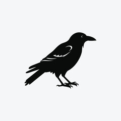 Obraz premium crow vector silhouette