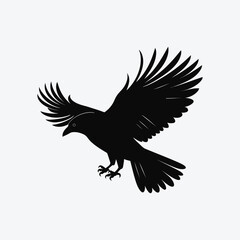 Obraz premium crow vector silhouette