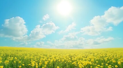Obraz premium green field and blue sky