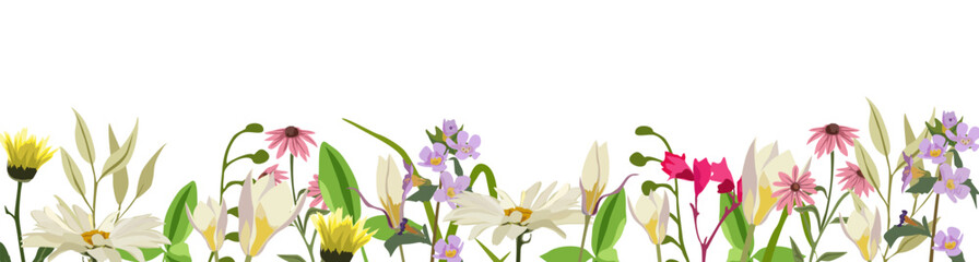 Floral banner, border, backdrop, overlay with gorgeous multicolored blooming wild flowers and leaves. Spring, summer botanical horizontal flat vector illustration on white background.