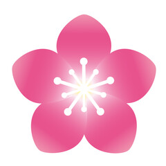 梅の花のイラスト