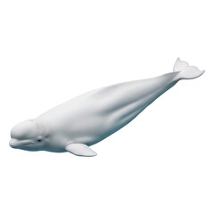 Fototapeta premium Graceful Beluga Whale in Aquatic Pose