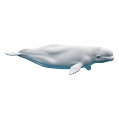 Fototapeta premium Graceful White Whale in Aquatic Habitat