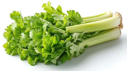 Fresh celery stalks on white background, healthy food ingredient