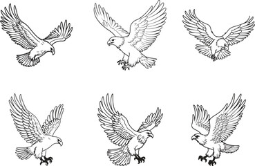 Fototapeta premium set of eagle silhouette line art vector