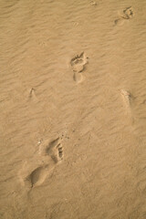 Feet track in the sand