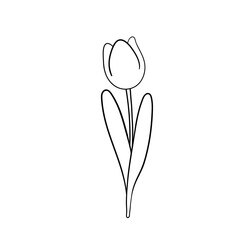 Cute tulip flowers spring season doodle decoration