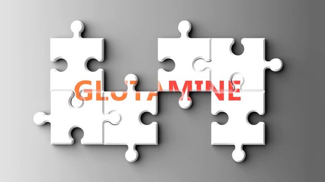 Glutamine as a complex topic - pictured as word glutamine on a puzzle pieces to show that glutamine is a composite subject. Solving a puzzle. Pieces coming together to make a whole