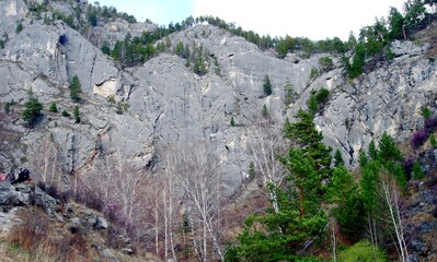 Altai Mountains, Altai Mountain Ranges