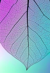 Obraz premium Pastel Leaf Vein Structure Delicate Natures Abstract Art
