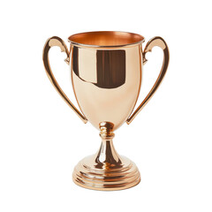 Isolated Bronze Finish Trophy Cup