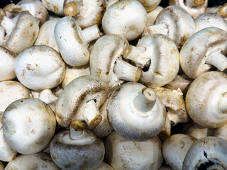 Fresh white mushrooms piled together at a local market, showcasing their natural texture and color