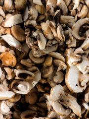 Sliced mushrooms arranged in a close-up view showcasing various types and textures
