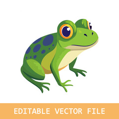 frog vector illustration