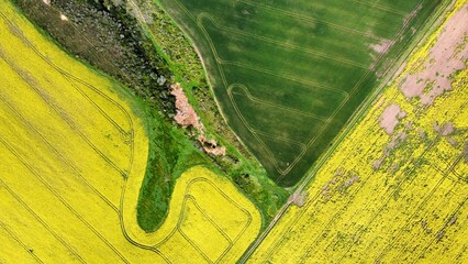 Aerial view Canola fields