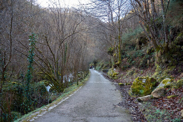 Fototapeta premium Peaceful nature walk along a winding path in Redes Natural Park, Asturias, Spain