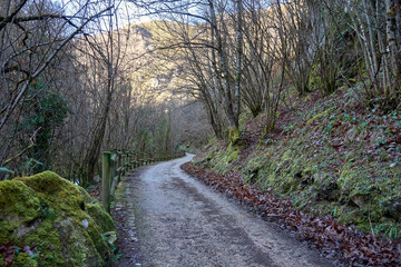 Peaceful nature walk along a winding path in Redes Natural Park, Asturias, Spain
