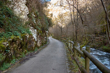 Peaceful nature walk along a winding path in Redes Natural Park, Asturias, Spain