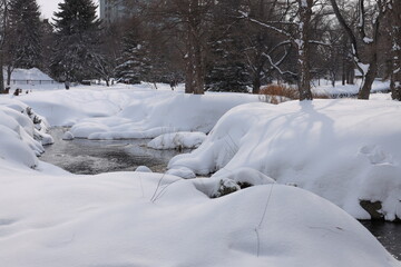 北海道の冬の雪景色