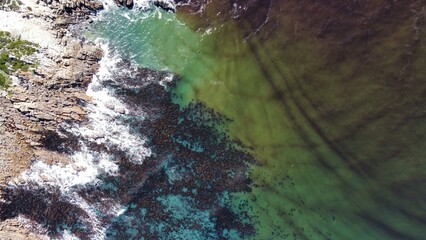 Aerial view of ocean and kelp