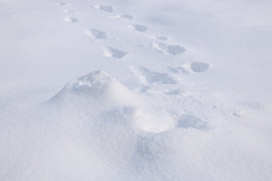 北海道の冬の雪景色