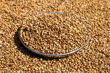 coriander seeds on a plate