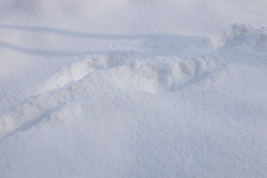 北海道の冬の雪景色