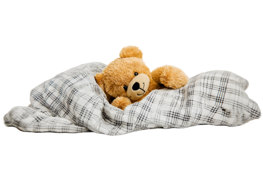 A teddy bear holding expressing love heart isolated on white background.