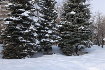 北海道の冬の雪景色