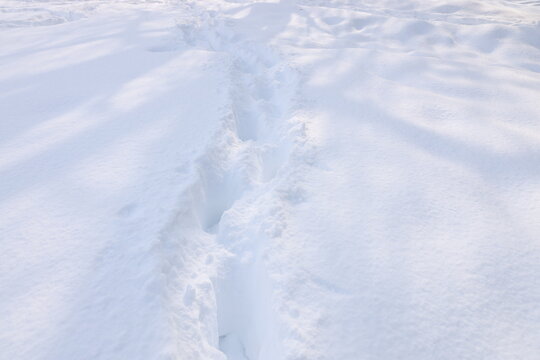 北海道の冬の雪景色