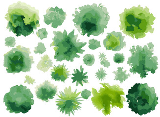 Watercolor style hand drawn top of view tree garden useful for landscape design