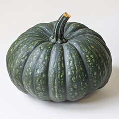 Dark Green Speckled Pumpkin Autumn Harvest Vegetable Cooking Ingredient