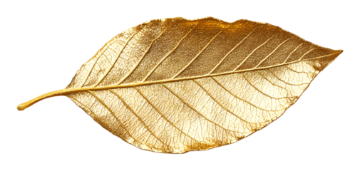 Leaf of gold on a transparent background. isolated background.