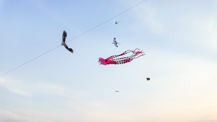 Colorful kites resembling birds and an octopus soar in the blue sky during a festive celebration, ideal for Makar Sankranti