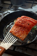 A view of a salmon filet on a fish spatula.