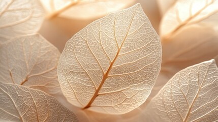 Obraz premium Pale leaves, close-up, natural light, soft background, nature design