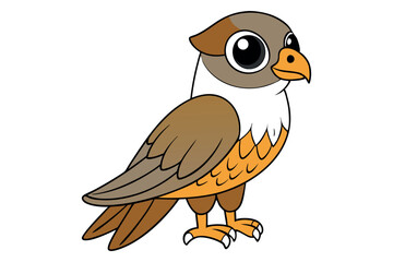 Falcon