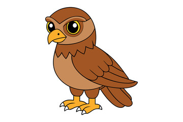 A Hawk