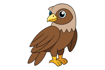 A Hawk