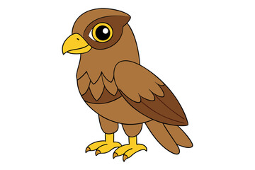 A Hawk