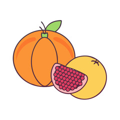 fruit icon, fruit vector illustration-simple illustration of fruit, perfect for fruit logos and icons