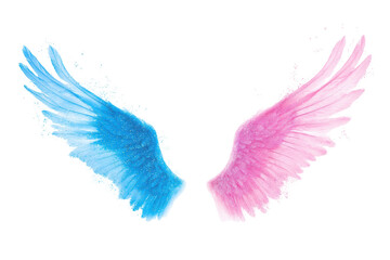 Isolated Abstract Blue and Pink Angel Wings