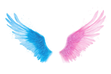 Isolated Abstract Blue and Pink Angel Wings