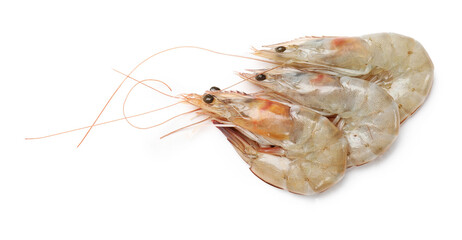 Fresh raw shrimps isolated on white, top view